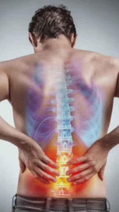 Car Back Seat Supporter Lumbar Chair